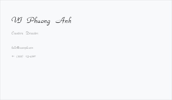 VI Phuong Anh Business Card