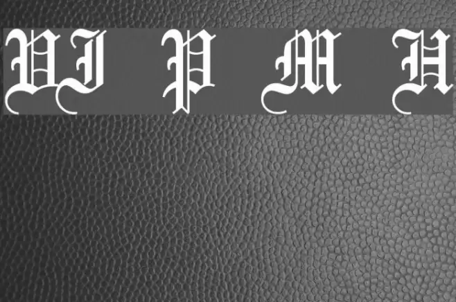 VI Phuong Mai Hoa Font examples