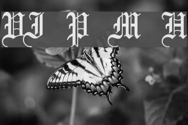 VI Phuong Mai Hoa Font examples