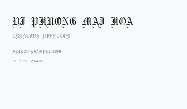 VI Phuong Mai Hoa Business Card