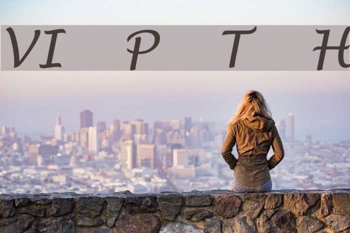 VI Phuong Thuy Hoa Example 2