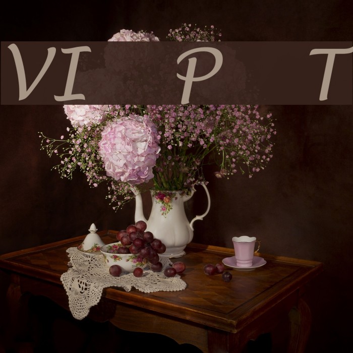VI Phuong Thuy Font examples