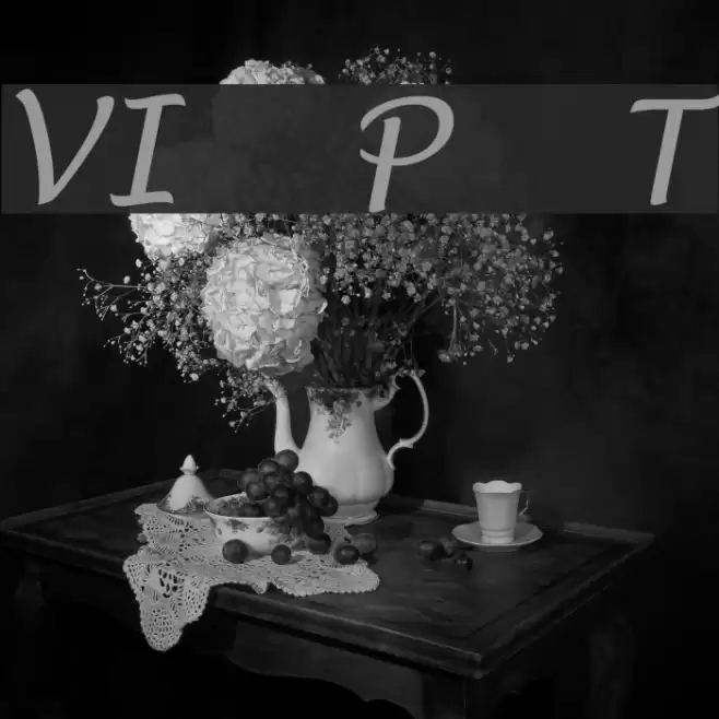 VI Phuong Thuy Font examples
