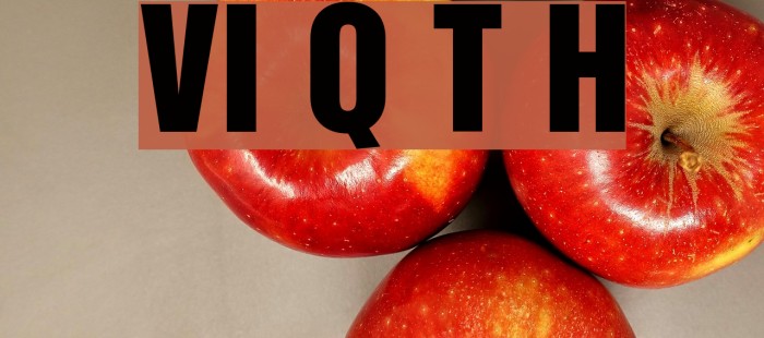 VI Quan Tu Hoa Font examples