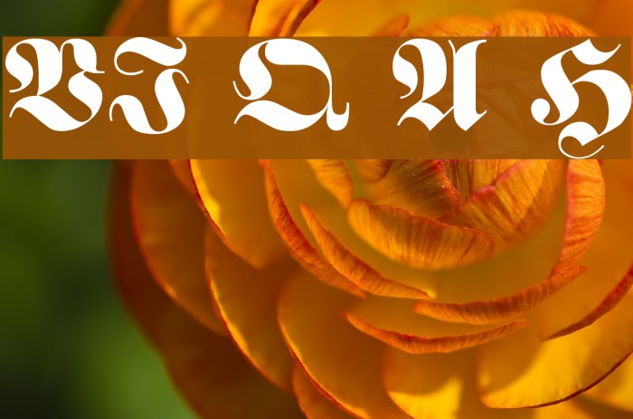 VI Que Anh Hoa Font examples