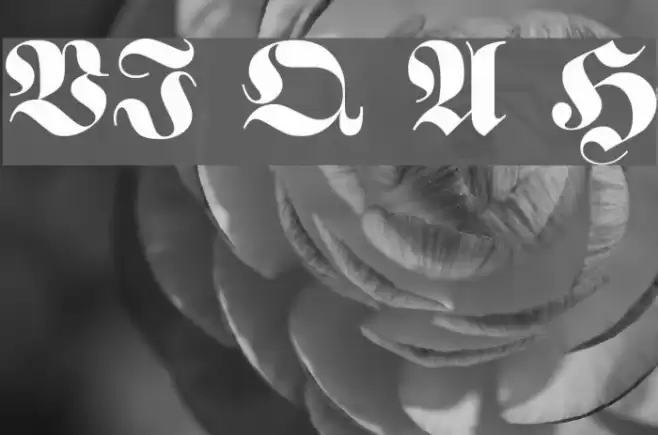 VI Que Anh Hoa Font examples