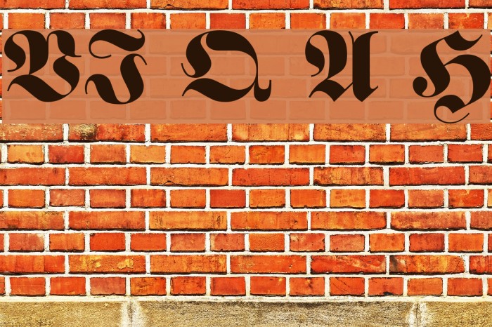 VI Que Anh Hoa Font examples