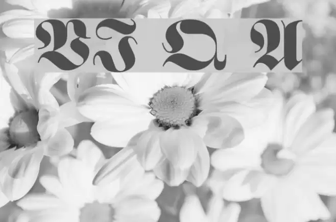 VI Que Anh Font examples