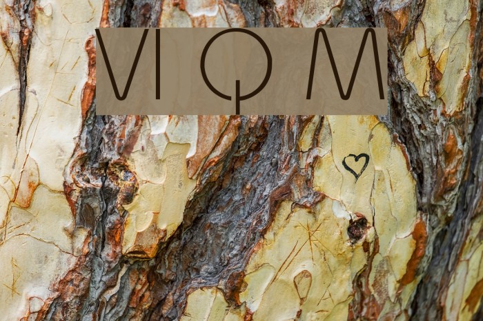 VI Quynh Mai Example 1