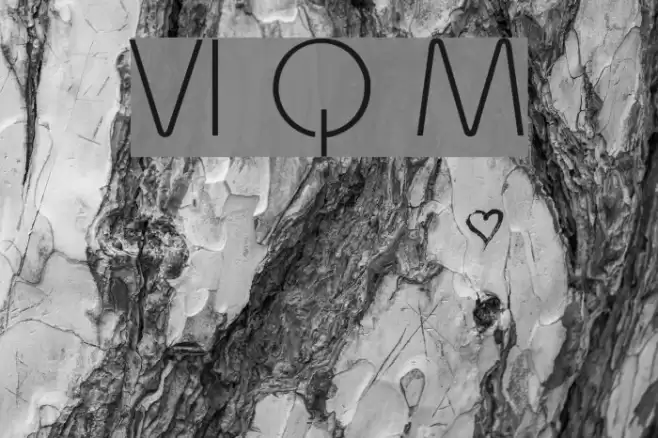 VI Quynh Mai Font examples