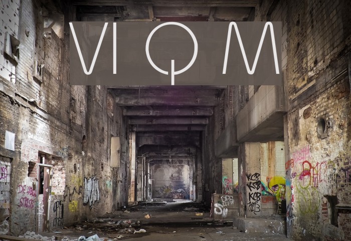 VI Quynh Mai Example 2