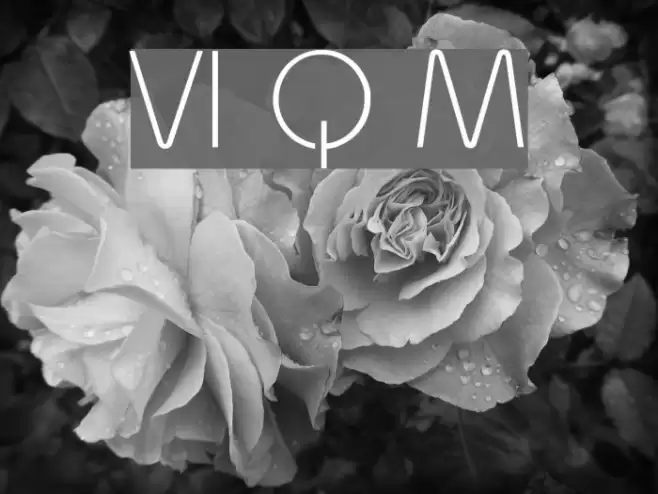 VI Quynh Mai Font examples