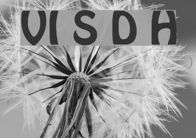 VI Sau Dong Hoa Schriftart examples