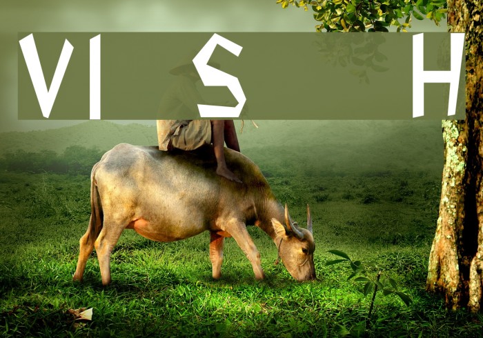VI Soi Ðá H Font examples