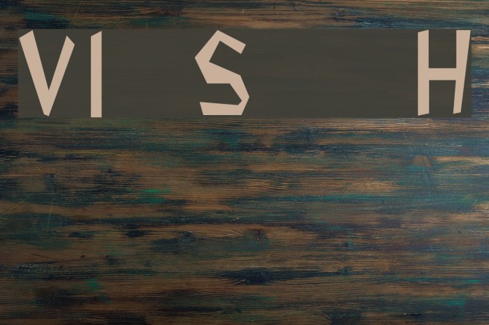 VI Soi Ðá H Font examples