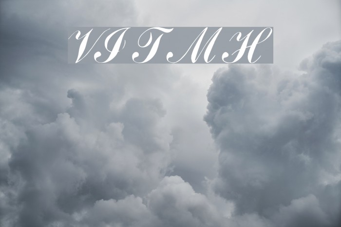 VI Thanh Mai Hoa Font examples
