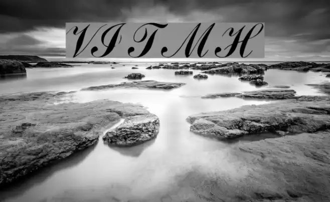 VI Thanh Mai Hoa Font examples