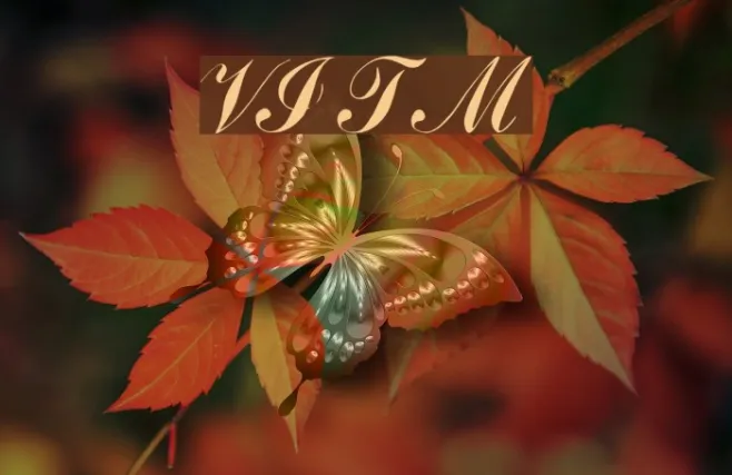 VI Thanh Mai Example 1