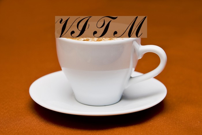 VI Thanh Mai Font examples