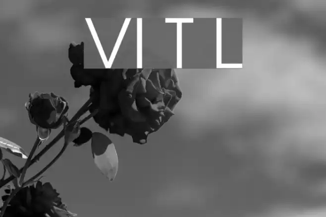 VI Thien Ly Font examples