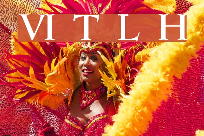 VI Thu Linh Hoa Font examples