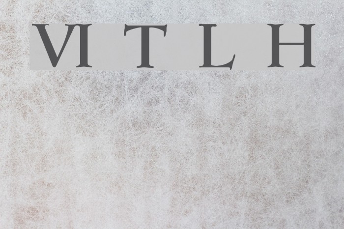 VI Thu Linh Hoa Font examples