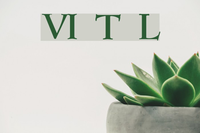 VI Thu Linh Font examples