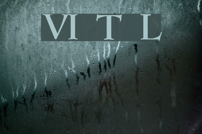 VI Thu Linh Font examples
