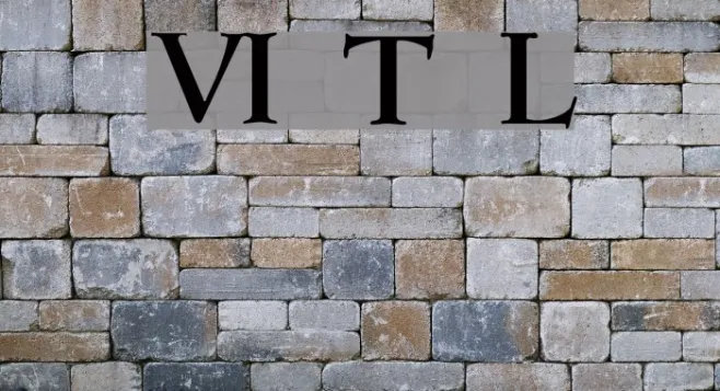 VI Thu Linh Example 3