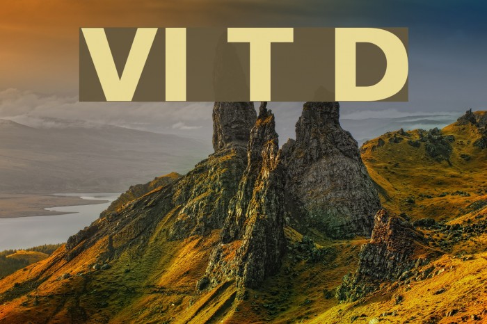 VI Thuoc Duoc Font examples