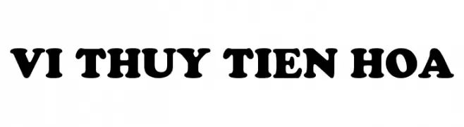 VI Thuy Tien Hoa  Frei Schriftart Herunterladen