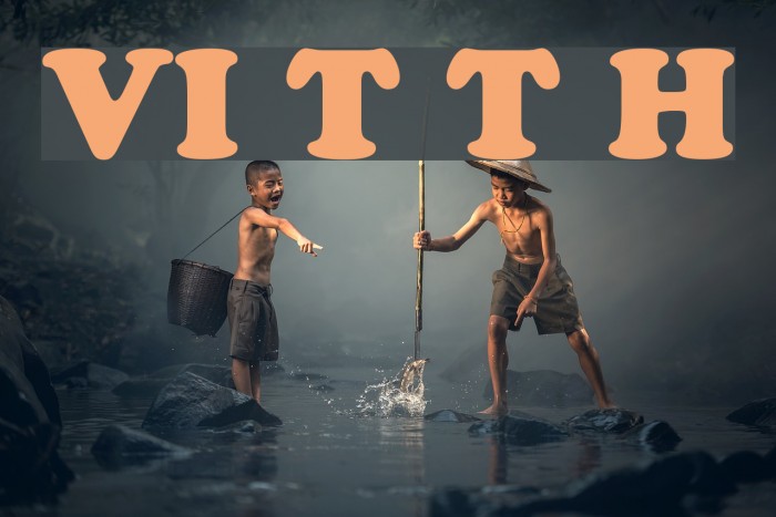 VI Thuy Tien Hoa Шрифта examples
