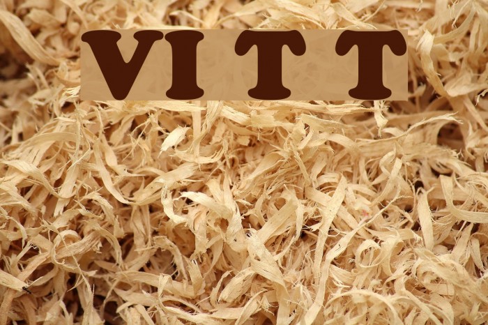 VI Thuy Tien Font examples