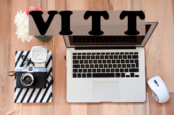 VI Thuy Tien Font examples