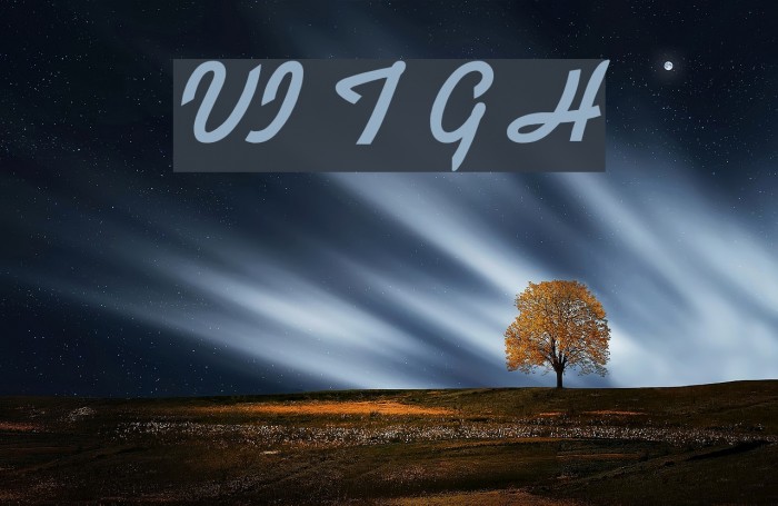VI Ti Gon Hoa Font examples