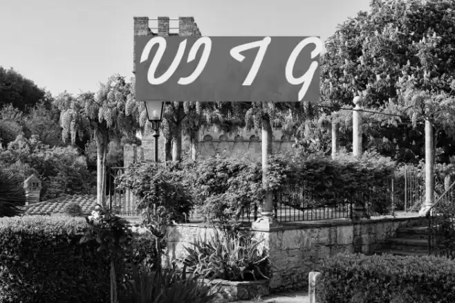 VI Ti Gon Font examples