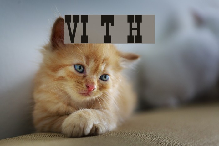 VI Town H normal Font examples