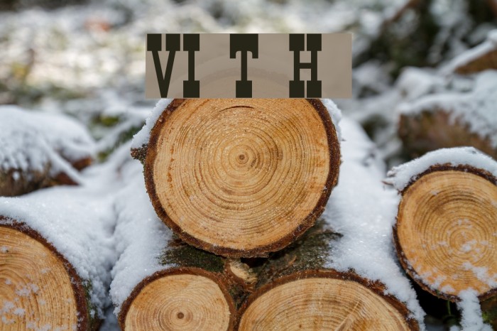 VI Town H normal Font examples
