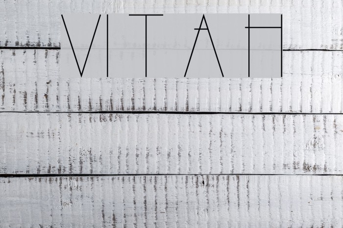 VI Tri Anh Hoa Font examples