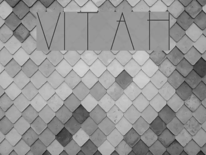 VI Tri Anh Hoa Font examples