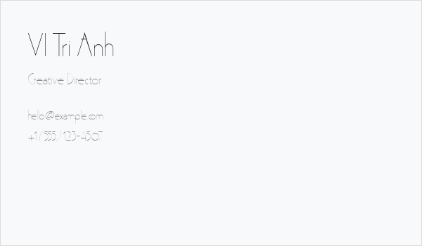 VI Tri Anh Business Card