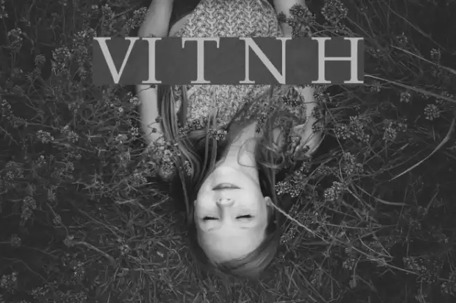 VI Trinh Nu Hoa Font examples