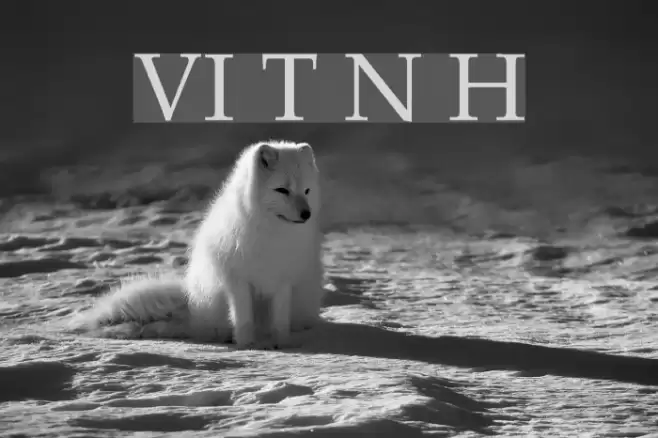 VI Trinh Nu Hoa Font examples