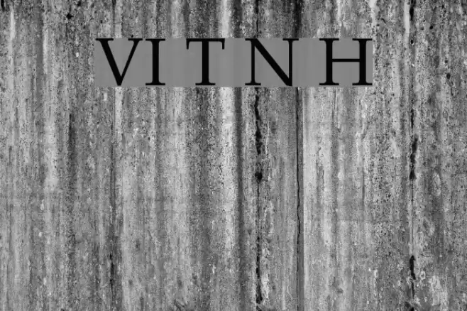VI Trinh Nu Hoa Font examples