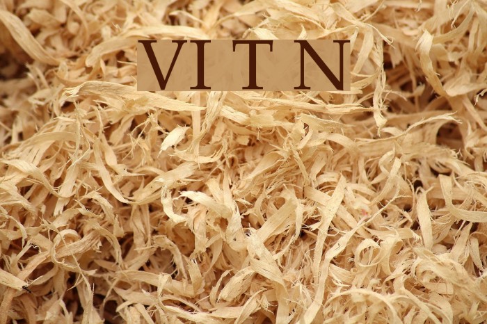 VI Trinh Nu Font examples