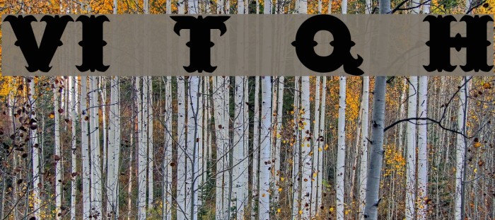 VI Tuu Quán H Font examples
