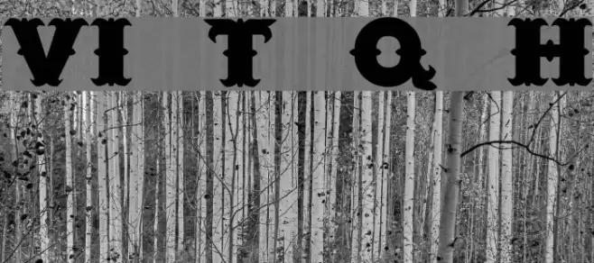 VI Tuu Quán H Font examples