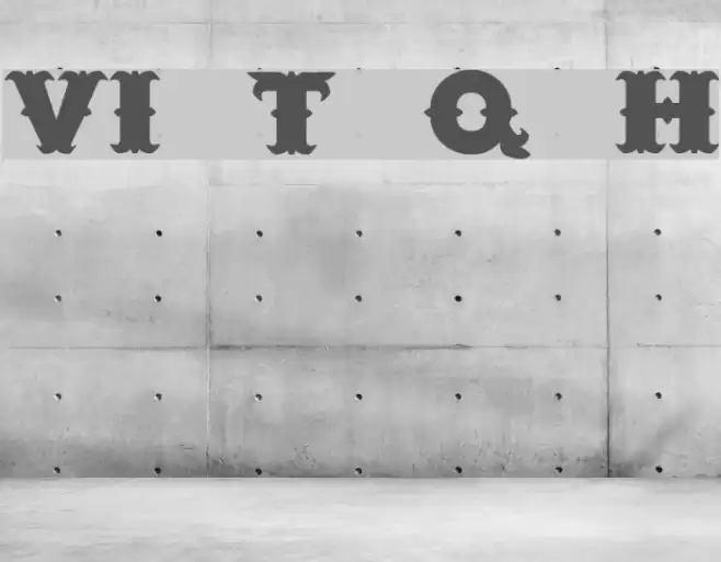 VI Tuu Quán H Font examples