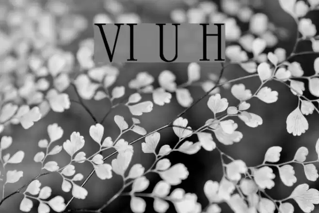 VI University H Font examples