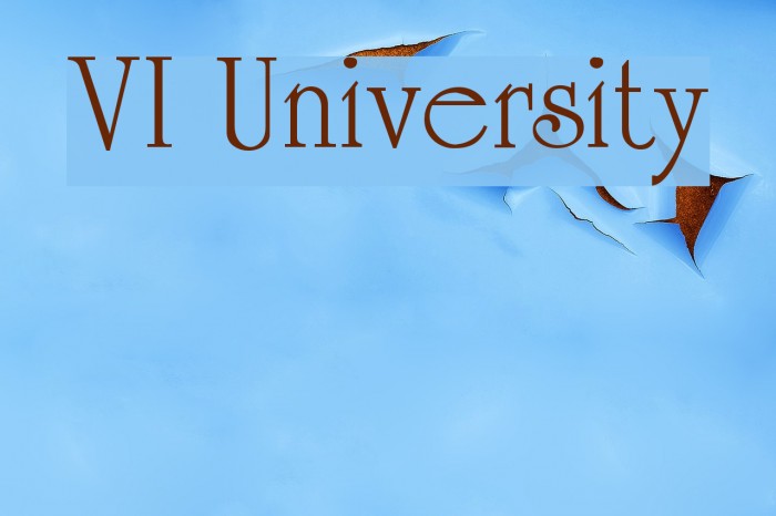VI University フォント examples